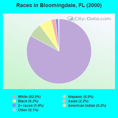 Races in Bloomingdale, FL (2000)