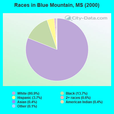 Races in Blue Mountain, MS (2000)