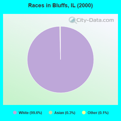 Races in Bluffs, IL (2000)