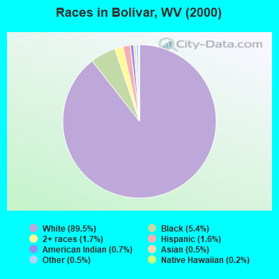 Races in Bolivar, WV (2000)