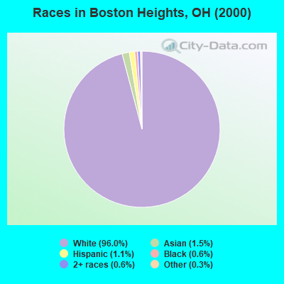 Races in Boston Heights, OH (2000)