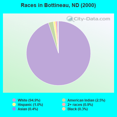 Races in Bottineau, ND (2000)