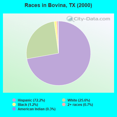 Races in Bovina, TX (2000)