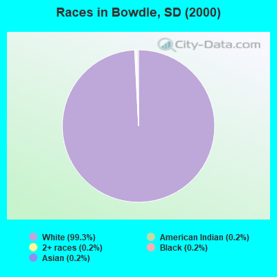 Races in Bowdle, SD (2000)