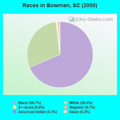 Races in Bowman, SC (2000)