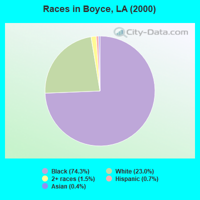 Races in Boyce, LA (2000)
