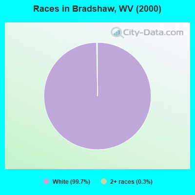 Races in Bradshaw, WV (2000)