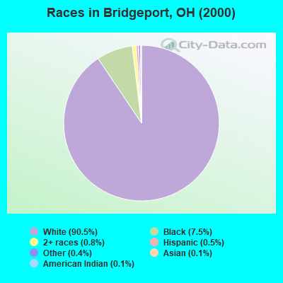 Races in Bridgeport, OH (2000)
