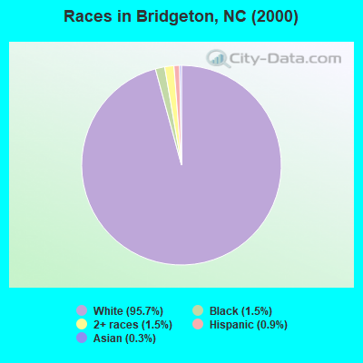 Races in Bridgeton, NC (2000)