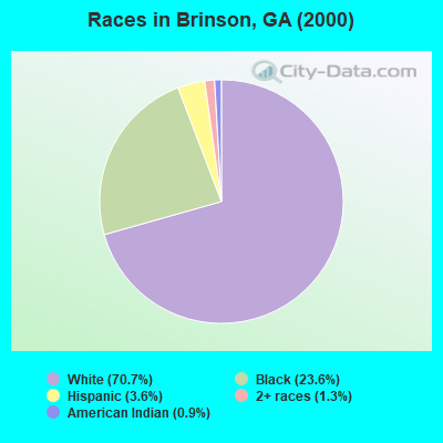 Races in Brinson, GA (2000)