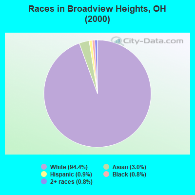 Races in Broadview Heights, OH (2000)
