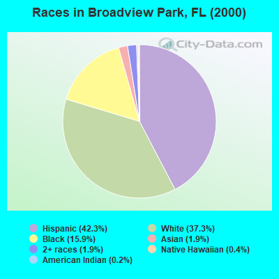 Races in Broadview Park, FL (2000)