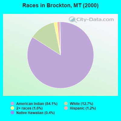Races in Brockton, MT (2000)