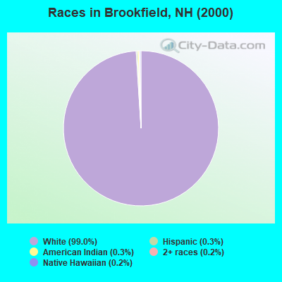 Races in Brookfield, NH (2000)