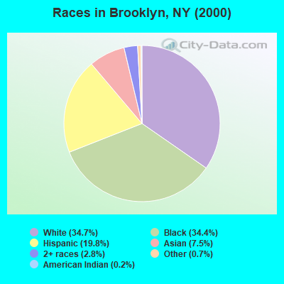 Races in Brooklyn, NY (2000)