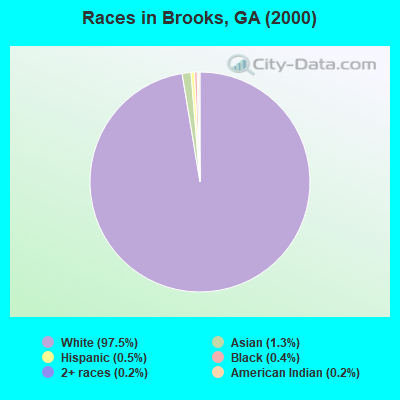 Races in Brooks, GA (2000)