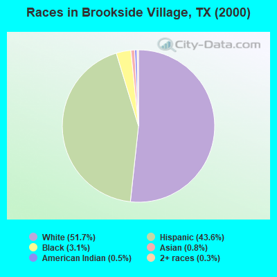 Races in Brookside Village, TX (2000)