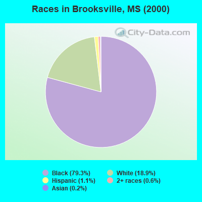 Races in Brooksville, MS (2000)