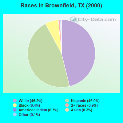 Races in Brownfield, TX (2000)