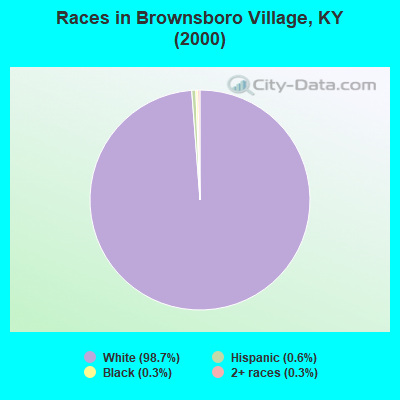 Races in Brownsboro Village, KY (2000)