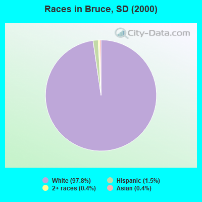 Races in Bruce, SD (2000)