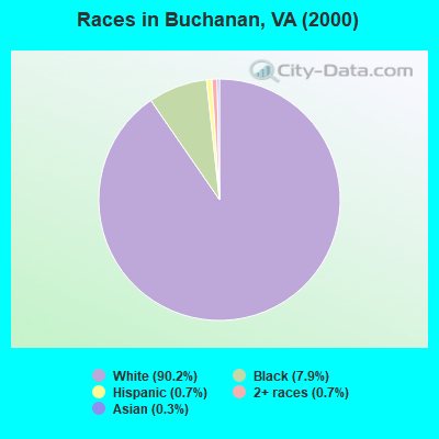 Races in Buchanan, VA (2000)