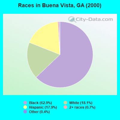 Races in Buena Vista, GA (2000)