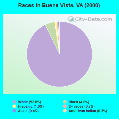 Races in Buena Vista, VA (2000)