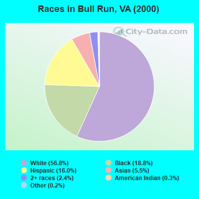 Races in Bull Run, VA (2000)