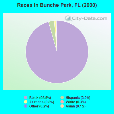 Races in Bunche Park, FL (2000)