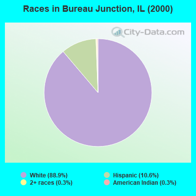 Races in Bureau Junction, IL (2000)