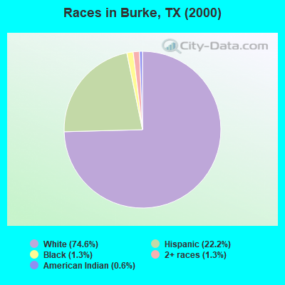 Races in Burke, TX (2000)