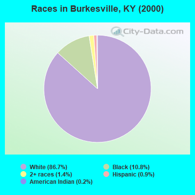 Races in Burkesville, KY (2000)