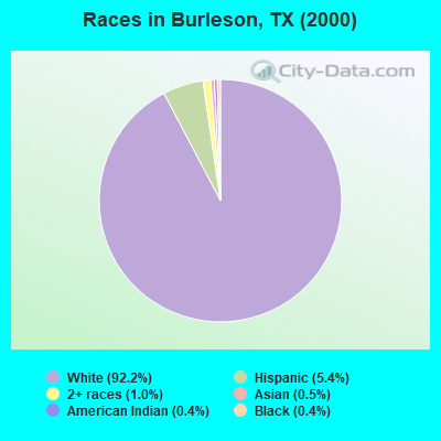Races in Burleson, TX (2000)