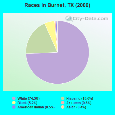 Races in Burnet, TX (2000)