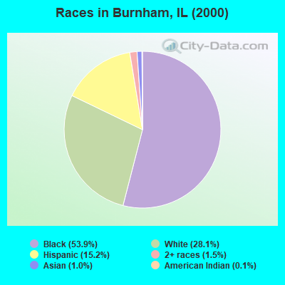 Races in Burnham, IL (2000)