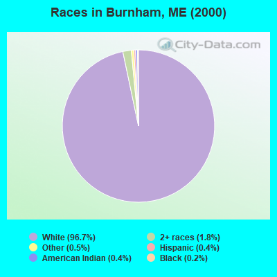 Races in Burnham, ME (2000)