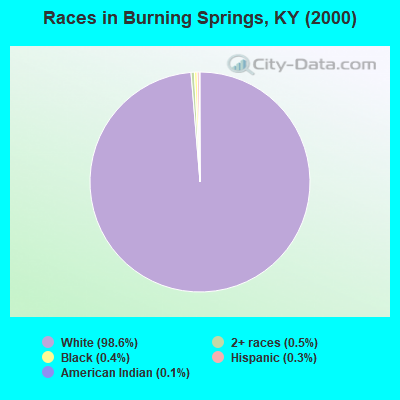 Races in Burning Springs, KY (2000)