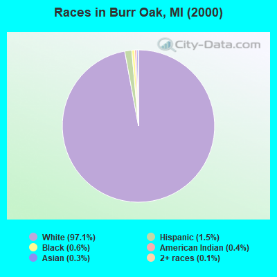 Races in Burr Oak, MI (2000)