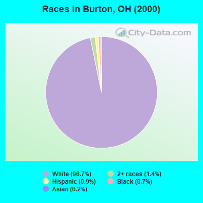 Races in Burton, OH (2000)