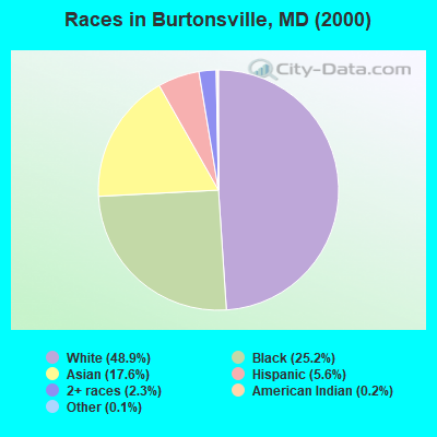 Races in Burtonsville, MD (2000)