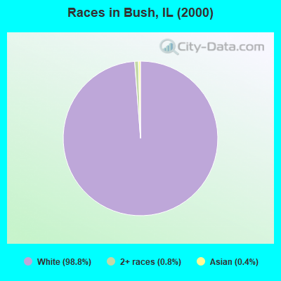 Races in Bush, IL (2000)