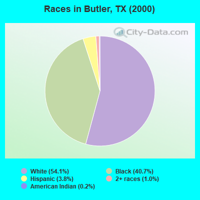 Races in Butler, TX (2000)