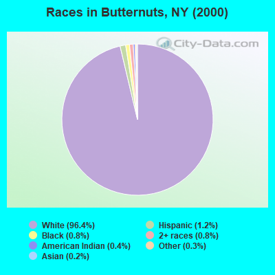 Races in Butternuts, NY (2000)