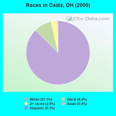 Races in Cadiz, OH (2000)