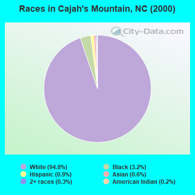 Races in Cajah's Mountain, NC (2000)