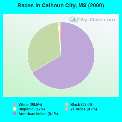 Races in Calhoun City, MS (2000)