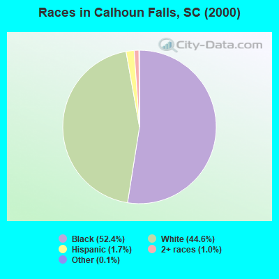 Races in Calhoun Falls, SC (2000)