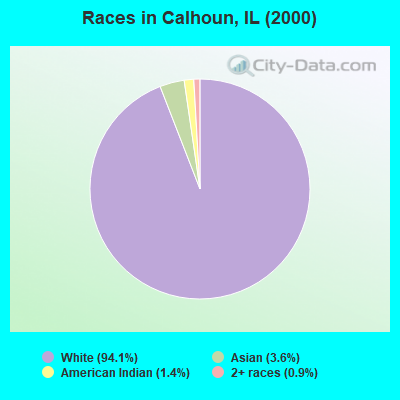 Races in Calhoun, IL (2000)