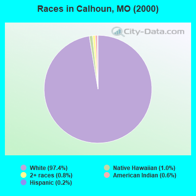 Races in Calhoun, MO (2000)